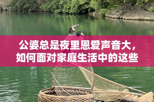 公婆总是夜里恩爱声音大，如何面对家庭生活中的这些尴尬？