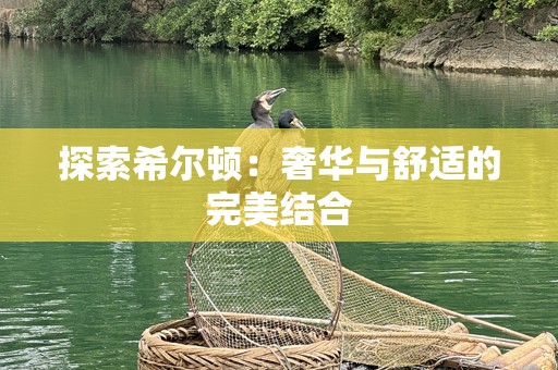探索希尔顿：奢华与舒适的完美结合