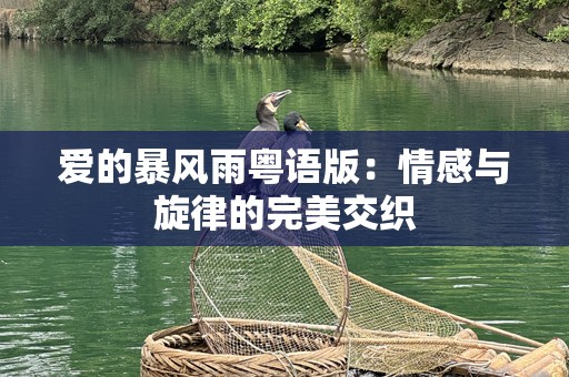 爱的暴风雨粤语版：情感与旋律的完美交织