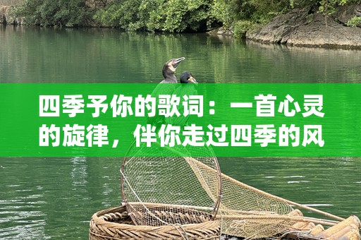四季予你的歌词：一首心灵的旋律，伴你走过四季的风景