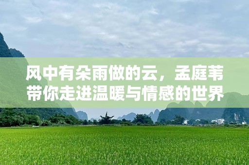 风中有朵雨做的云，孟庭苇带你走进温暖与情感的世界