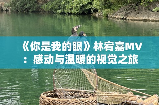 《你是我的眼》林宥嘉MV：感动与温暖的视觉之旅