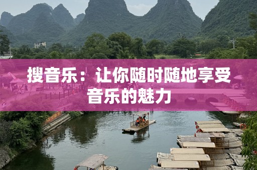 搜音乐：让你随时随地享受音乐的魅力