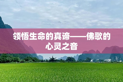 领悟生命的真谛——佛歌的心灵之音