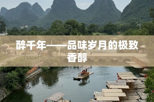 醉千年——品味岁月的极致香醇