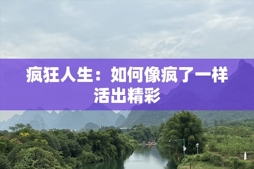 疯狂人生：如何像疯了一样活出精彩