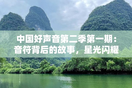 中国好声音第二季第一期：音符背后的故事，星光闪耀的舞台！