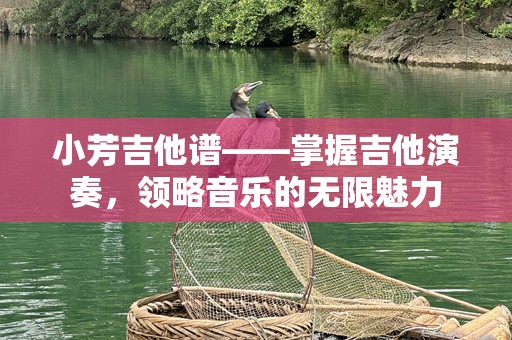 小芳吉他谱——掌握吉他演奏，领略音乐的无限魅力
