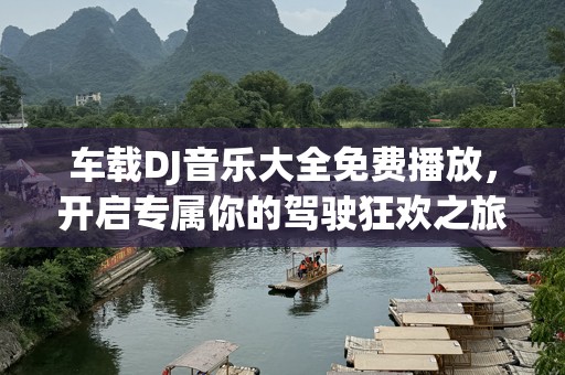 车载DJ音乐大全免费播放，开启专属你的驾驶狂欢之旅