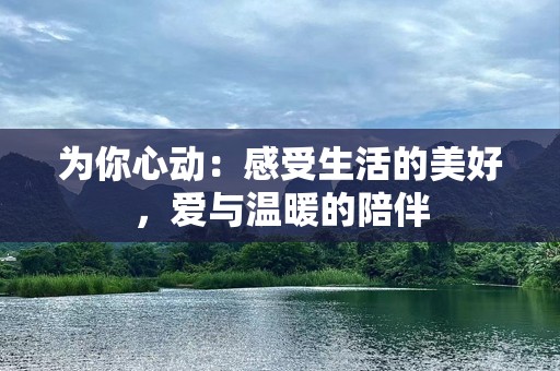 为你心动：感受生活的美好，爱与温暖的陪伴
