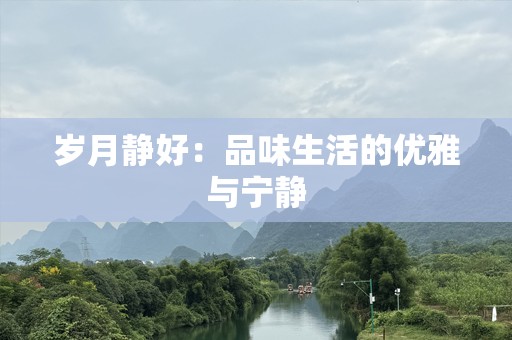 岁月静好：品味生活的优雅与宁静