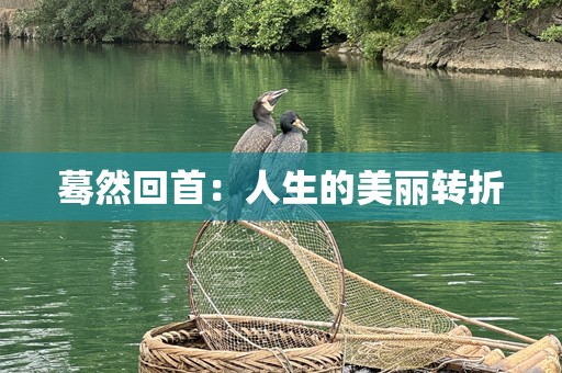 蓦然回首：人生的美丽转折