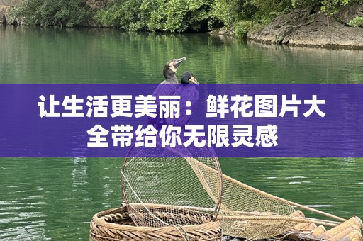让生活更美丽：鲜花图片大全带给你无限灵感