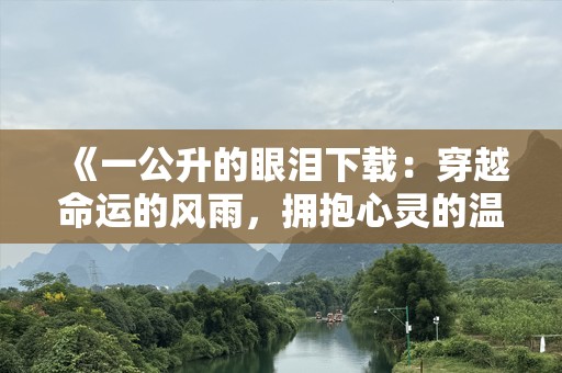 《一公升的眼泪下载：穿越命运的风雨，拥抱心灵的温暖》