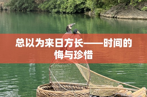 总以为来日方长——时间的悔与珍惜