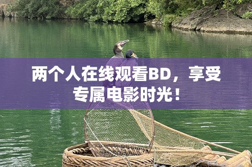 两个人在线观看BD，享受专属电影时光！