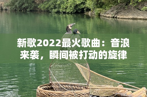 新歌2022最火歌曲：音浪来袭，瞬间被打动的旋律