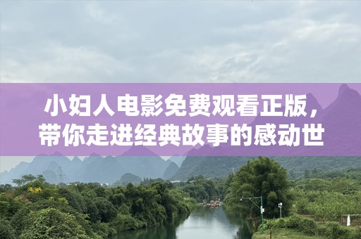 小妇人电影免费观看正版，带你走进经典故事的感动世界