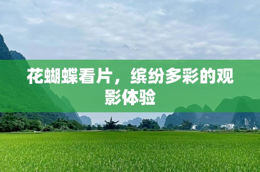花蝴蝶看片，缤纷多彩的观影体验