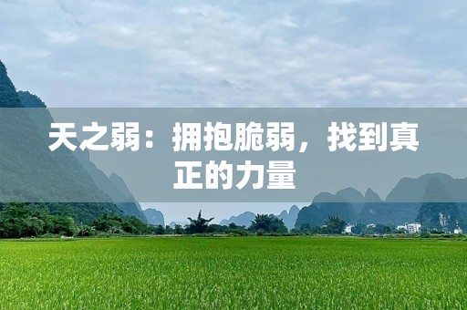 天之弱：拥抱脆弱，找到真正的力量