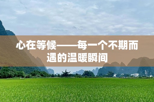 心在等候——每一个不期而遇的温暖瞬间