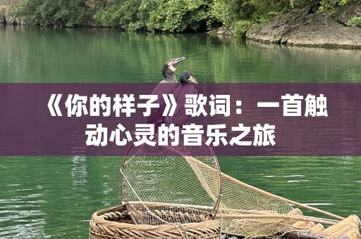 《你的样子》歌词：一首触动心灵的音乐之旅