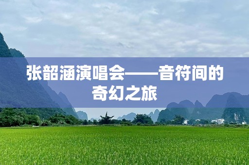 张韶涵演唱会——音符间的奇幻之旅