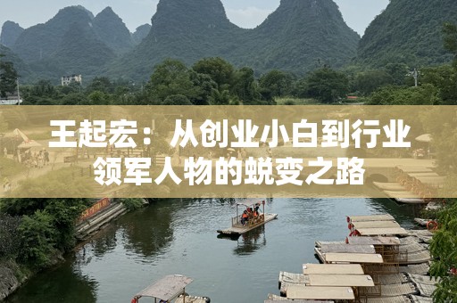 王起宏：从创业小白到行业领军人物的蜕变之路