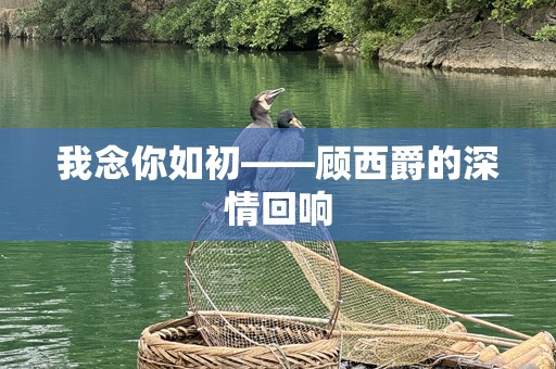 我念你如初——顾西爵的深情回响
