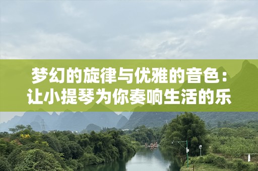 梦幻的旋律与优雅的音色：让小提琴为你奏响生活的乐章