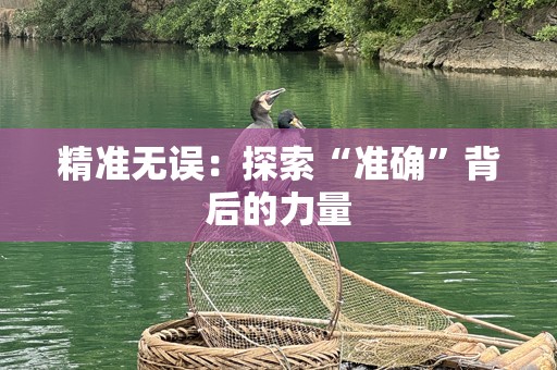 精准无误：探索“准确”背后的力量