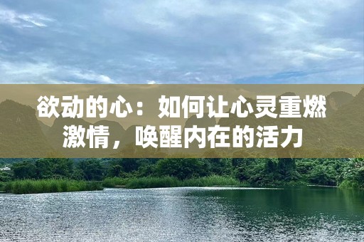 欲动的心：如何让心灵重燃激情，唤醒内在的活力