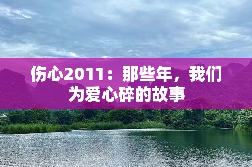 伤心2011：那些年，我们为爱心碎的故事