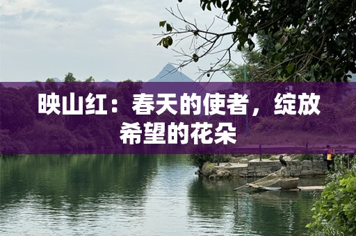 映山红：春天的使者，绽放希望的花朵