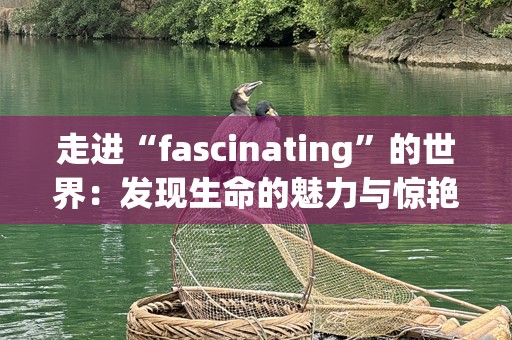 走进“fascinating”的世界：发现生命的魅力与惊艳