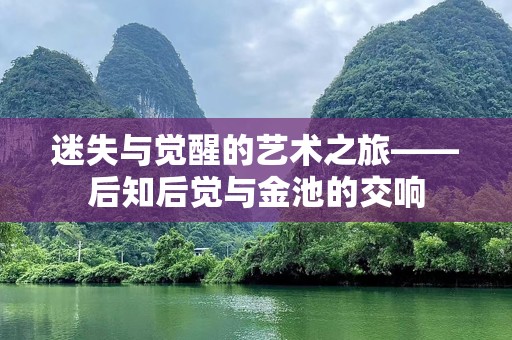 迷失与觉醒的艺术之旅——后知后觉与金池的交响
