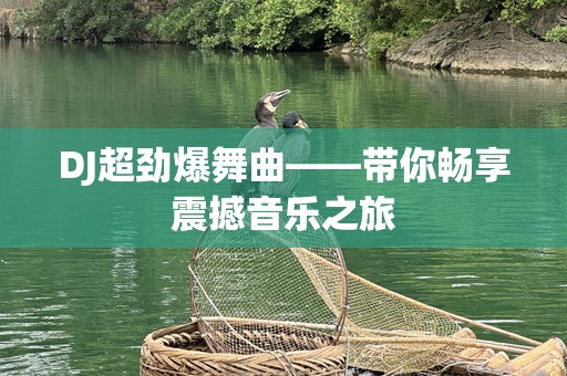 DJ超劲爆舞曲——带你畅享震撼音乐之旅