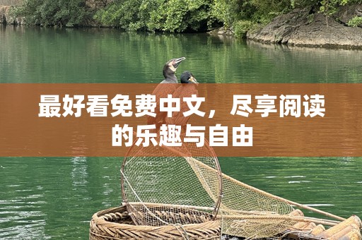 最好看免费中文，尽享阅读的乐趣与自由