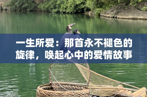 一生所爱：那首永不褪色的旋律，唤起心中的爱情故事