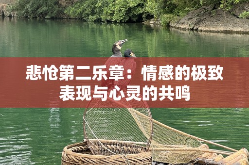 悲怆第二乐章：情感的极致表现与心灵的共鸣