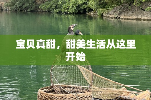 宝贝真甜，甜美生活从这里开始