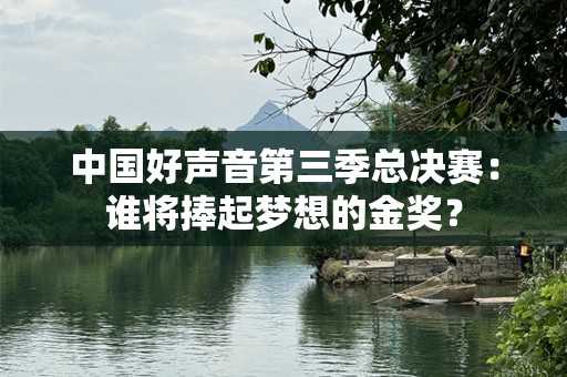 中国好声音第三季总决赛：谁将捧起梦想的金奖？