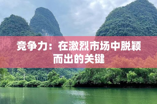 竞争力：在激烈市场中脱颖而出的关键