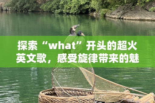 探索“what”开头的超火英文歌，感受旋律带来的魅力