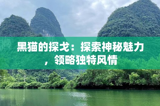黑猫的探戈：探索神秘魅力，领略独特风情