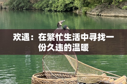 欢遇：在繁忙生活中寻找一份久违的温暖
