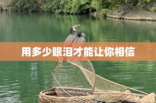 用多少眼泪才能让你相信