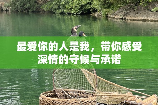 最爱你的人是我，带你感受深情的守候与承诺