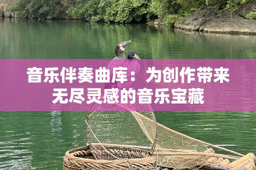 音乐伴奏曲库：为创作带来无尽灵感的音乐宝藏