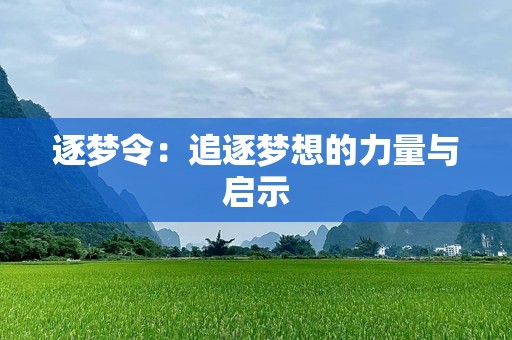 逐梦令：追逐梦想的力量与启示